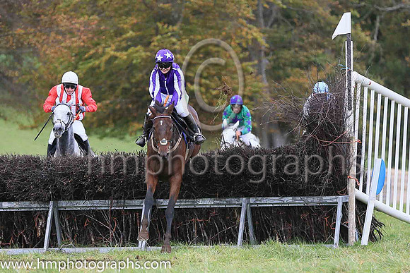 01st ONE FOR THE YARD (GB) and Miss Toni Quail ( 8 , PURPLE,white seams; purple  white striped sleeves; purple cap,white stars ) Trainer: Mary E. Doyle , Owner : Stables , Syndicate Baltimore
