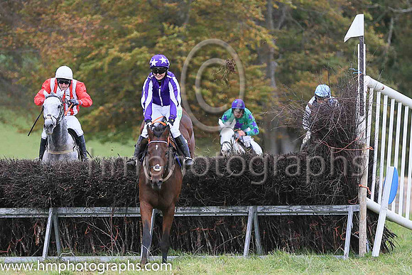 01st ONE FOR THE YARD (GB) and Miss Toni Quail ( 8 , PURPLE,white seams; purple  white striped sleeves; purple cap,white stars ) Trainer: Mary E. Doyle , Owner : Stables , Syndicate Baltimore