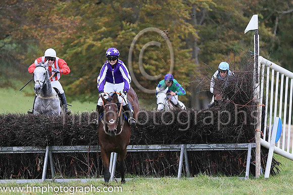 01st ONE FOR THE YARD (GB) and Miss Toni Quail ( 8 , PURPLE,white seams; purple  white striped sleeves; purple cap,white stars ) Trainer: Mary E. Doyle , Owner : Stables , Syndicate Baltimore