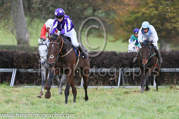 01st ONE FOR THE YARD (GB) and Miss Toni Quail ( 8 , PURPLE,white seams; purple  white striped sleeves; purple cap,white stars ) Trainer: Mary E. Doyle , Owner : Stables , Syndicate Baltimore