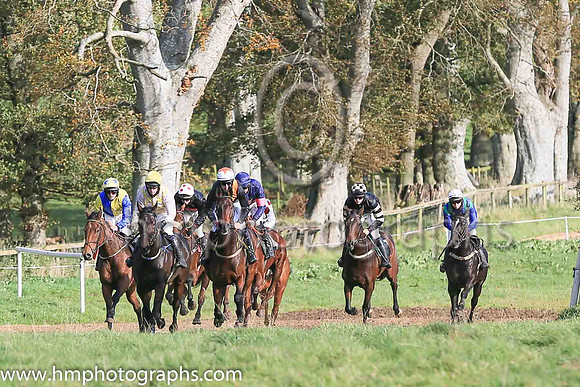 Racing at Point to Point at Loughanmore