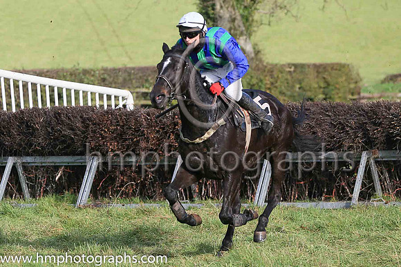 WEXFORD SAGE and N Gault ( 15 ,Antrim (H)- DARK BLUE  EMERALD GREEN STRIPES; dark blue sleeves; white cap ) Trainer: Ann Hunter,, Owner : Ann Hunter