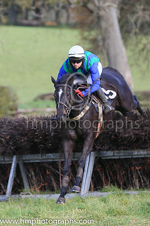 WEXFORD SAGE and N Gault ( 15 ,Antrim (H)- DARK BLUE  EMERALD GREEN STRIPES; dark blue sleeves; white cap ) Trainer: Ann Hunter,, Owner : Ann Hunter
