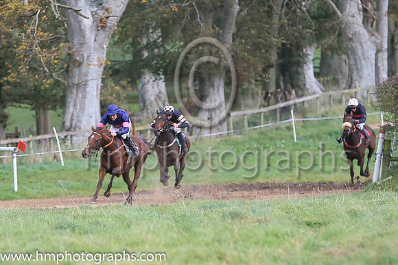 01st THE MEAN QUEEN and J J O'Neill ( 14 , DARK BLUE,pink triple diamond; dark blue sleeves,pink armlet; dark blue cap ) Trainer: Mary E. Doyle,, Owner : Rodman Moorhead