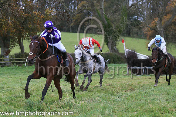 01st ONE FOR THE YARD (GB) and Miss Toni Quail ( 8 , PURPLE,white seams; purple  white striped sleeves; purple cap,white stars ) Trainer: Mary E. Doyle , Owner : Stables , Syndicate Baltimore