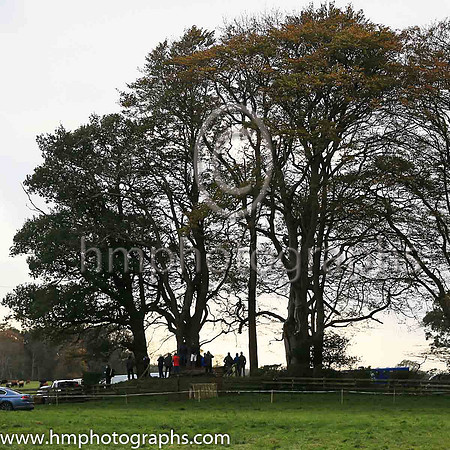 Spectators at Loughanmore Point to Point