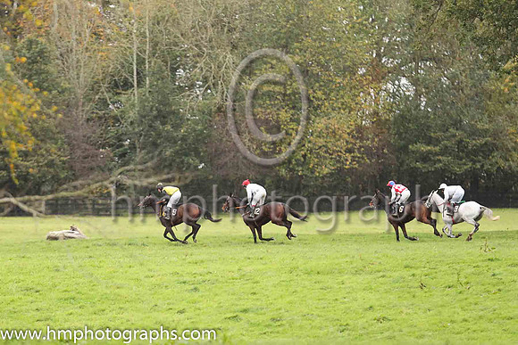 02nd HIGH STAKES and J J Walsh ( 9 , YELLOW,black sash; black sleeves; black cap,yellow star ) Trainer: John Edward Walsh , Owner : John Edward Walsh