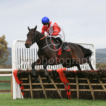 01st Ballyadamand J W Kennedy ( 1 , red, white cross sash ) Trainer - G Elliott , Owner - Cheveley Park Stud