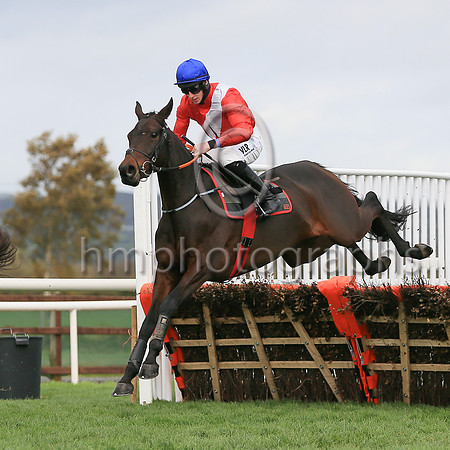 01st Ballyadamand J W Kennedy ( 1 , red, white cross sash ) Trainer - G Elliott , Owner - Cheveley Park Stud