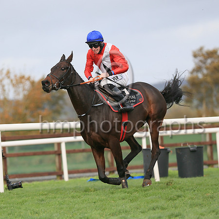 01st Ballyadamand J W Kennedy ( 1 , red, white cross sash ) Trainer - G Elliott , Owner - Cheveley Park Stud