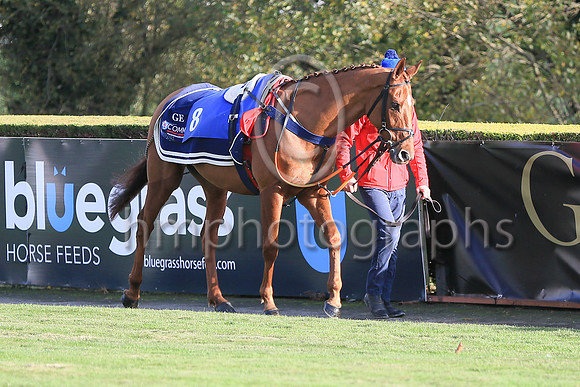 01st The Storyteller and K M Donoghue ( 8 , dark blue, yellow diamond ) Trainer - G Elliott , Owner - Mrs P Sloan
