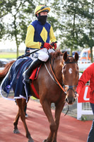 2020-10-31st - Down Royal Champion Chase (hr) (8/23)