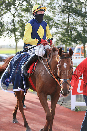 01st The Storyteller and K M Donoghue ( 8 , dark blue, yellow diamond ) Trainer - G Elliott , Owner - Mrs P Sloan