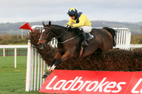 2020-10-31st - Down Royal Champion Chase (hr) (8/23)