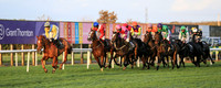 2020-10-31st - Down Royal Champion Chase (hr) (8/23)