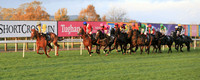 2020-10-31st - Down Royal Champion Chase (hr) (8/23)