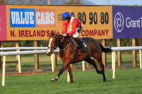 2020-10-31st - Down Royal Champion Chase (hr) (8/23)