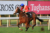 2020-10-31st - Down Royal Champion Chase (hr) (8/23)