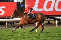 2020-10-31st - Down Royal Champion Chase (hr) (8/23)