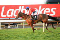 2020-10-31st - Down Royal Champion Chase (hr) (8/23)