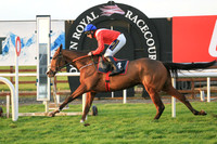 2020-10-31st - Down Royal Champion Chase (hr) (8/23)