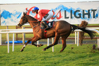 2020-10-31st - Down Royal Champion Chase (hr) (8/23)
