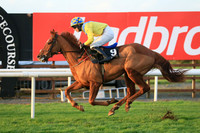2020-10-31st - Down Royal Champion Chase (hr) (8/23)