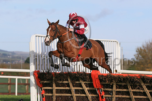 01st Farouk DAleneand J W Kennedy ( 2 , maroon, white star ) Trainer - G Elliott , Owner - Gigginstown House Stud