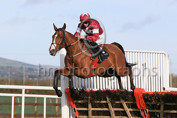 01st Farouk DAleneand J W Kennedy ( 2 , maroon, white star ) Trainer - G Elliott , Owner - Gigginstown House Stud