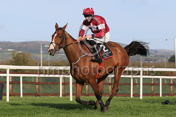01st Farouk DAleneand J W Kennedy ( 2 , maroon, white star ) Trainer - G Elliott , Owner - Gigginstown House Stud