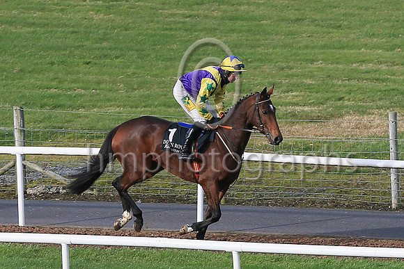01st Skyaceand J S McGarvey ( 1 , purple, yellow chevron ) Trainer - J J Hanlon , Owner - Birdinthehand Syndicate