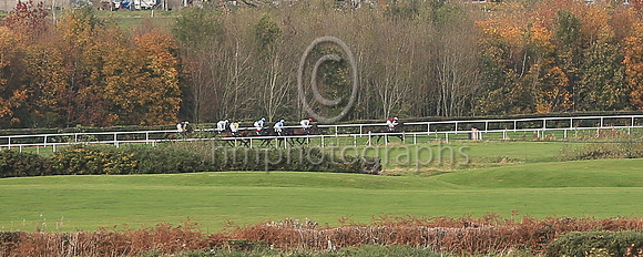 Racing at Down ROyal