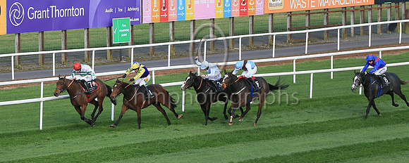 01st Skyaceand J S McGarvey ( 1 , purple, yellow chevron ) Trainer - J J Hanlon , Owner - Birdinthehand Syndicate