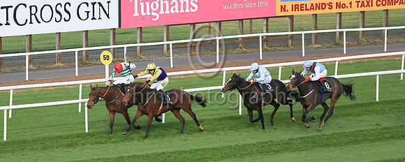 01st Skyaceand J S McGarvey ( 1 , purple, yellow chevron ) Trainer - J J Hanlon , Owner - Birdinthehand Syndicate