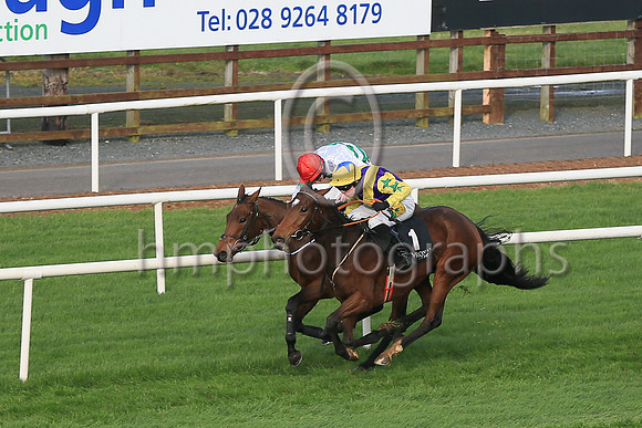 01st Skyaceand J S McGarvey ( 1 , purple, yellow chevron ) Trainer - J J Hanlon , Owner - Birdinthehand Syndicate