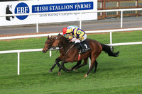 2020-10-30th - Down Royal - WKD Hurdle Day (hr) (8/23)