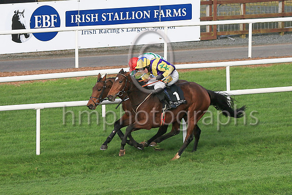 01st Skyaceand J S McGarvey ( 1 , purple, yellow chevron ) Trainer - J J Hanlon , Owner - Birdinthehand Syndicate