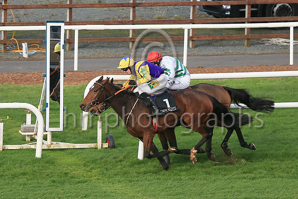 01st Skyaceand J S McGarvey ( 1 , purple, yellow chevron ) Trainer - J J Hanlon , Owner - Birdinthehand Syndicate