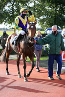 2020-10-30th - Down Royal - WKD Hurdle Day (hr) (8/23)