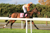 2020-10-30th - Down Royal - WKD Hurdle Day (hr) (8/23)