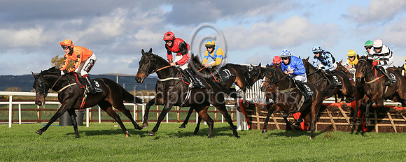 01st Ragin Cajun and D P Maxwell7 ( 17 , yellow, blue cross sashes ) Trainer - Matthew J Smith , Owner - S Gillen