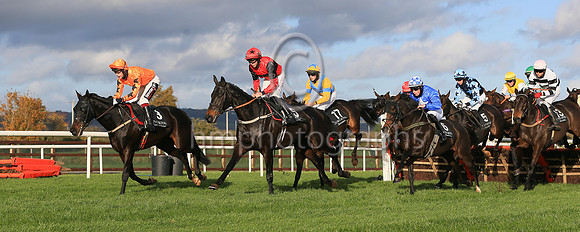 01st Ragin Cajun and D P Maxwell7 ( 17 , yellow, blue cross sashes ) Trainer - Matthew J Smith , Owner - S Gillen