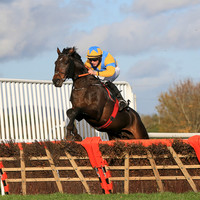 2020-10-30th - Down Royal - WKD Hurdle Day (hr) (8/23)