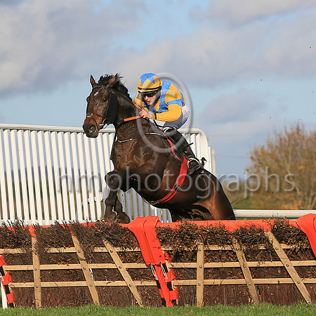 01st Ragin Cajun and D P Maxwell7 ( 17 , yellow, blue cross sashes ) Trainer - Matthew J Smith , Owner - S Gillen