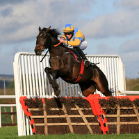 2020-10-30th - Down Royal - WKD Hurdle Day (hr) (8/23)