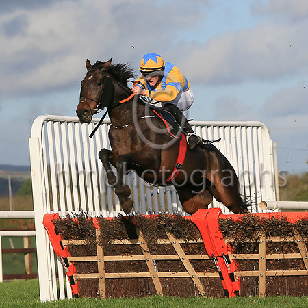 01st Ragin Cajun and D P Maxwell7 ( 17 , yellow, blue cross sashes ) Trainer - Matthew J Smith , Owner - S Gillen