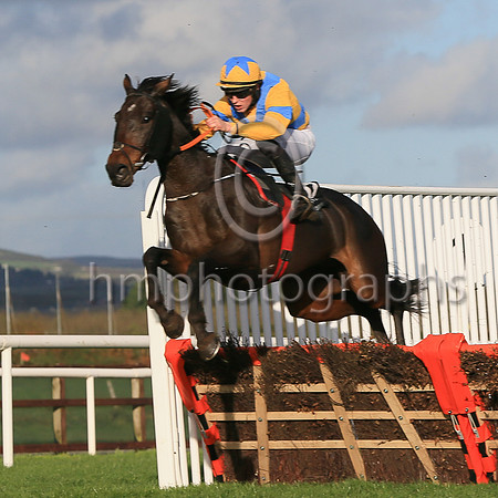 01st Ragin Cajun and D P Maxwell7 ( 17 , yellow, blue cross sashes ) Trainer - Matthew J Smith , Owner - S Gillen