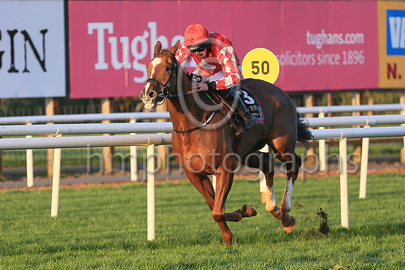 01st Chemical Energyand Mr J J Codd ( 3 , red, white diamond ) Trainer - G Elliott , Owner - Andrew Brown  Gemma Brown