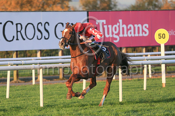 01st Chemical Energyand Mr J J Codd ( 3 , red, white diamond ) Trainer - G Elliott , Owner - Andrew Brown  Gemma Brown
