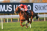 2020-10-30th - Down Royal - WKD Hurdle Day (hr) (8/23)